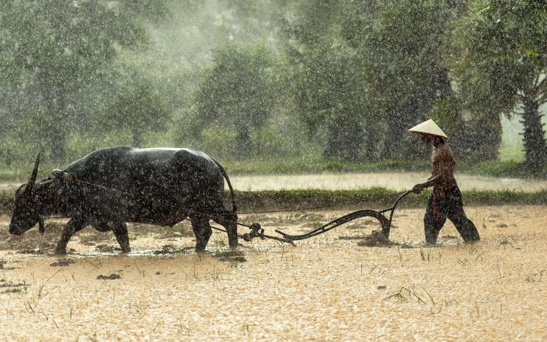 Markmið Kína í loftslagsmálum
