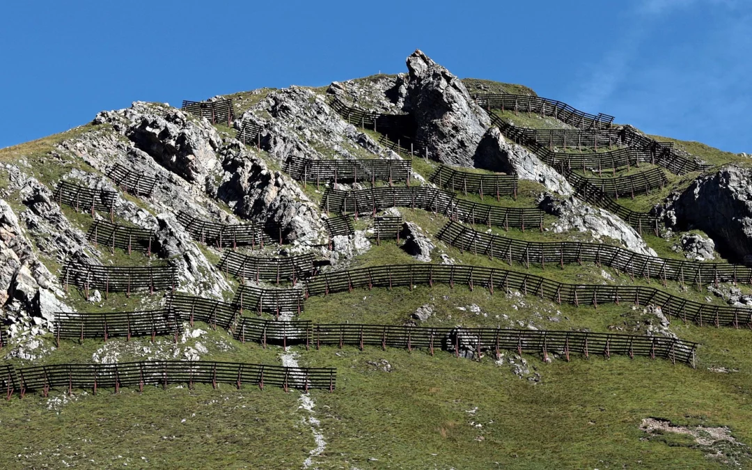 Lýðræðið fyrir loftslagið, og öfugt