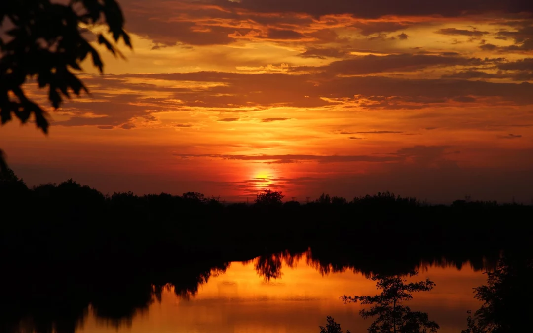 Ný aðlögunarskýrsla ESB